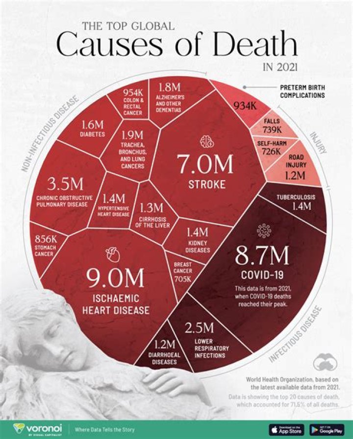 Was Paula Cause Of Death Cancer?