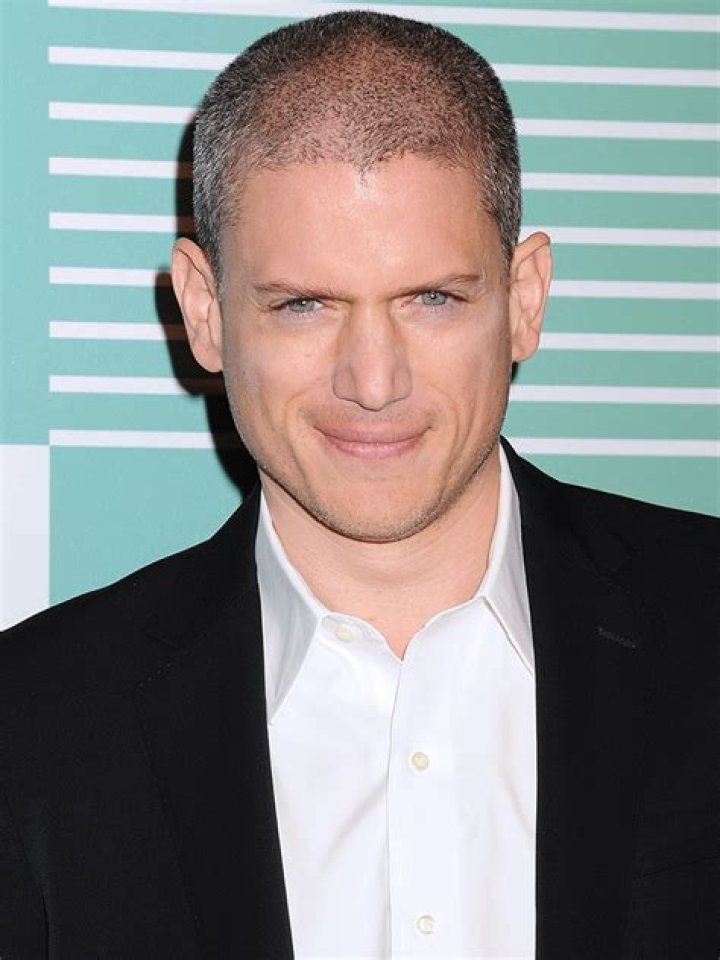 Wentworth Miller Wiki ARROW France Fandom