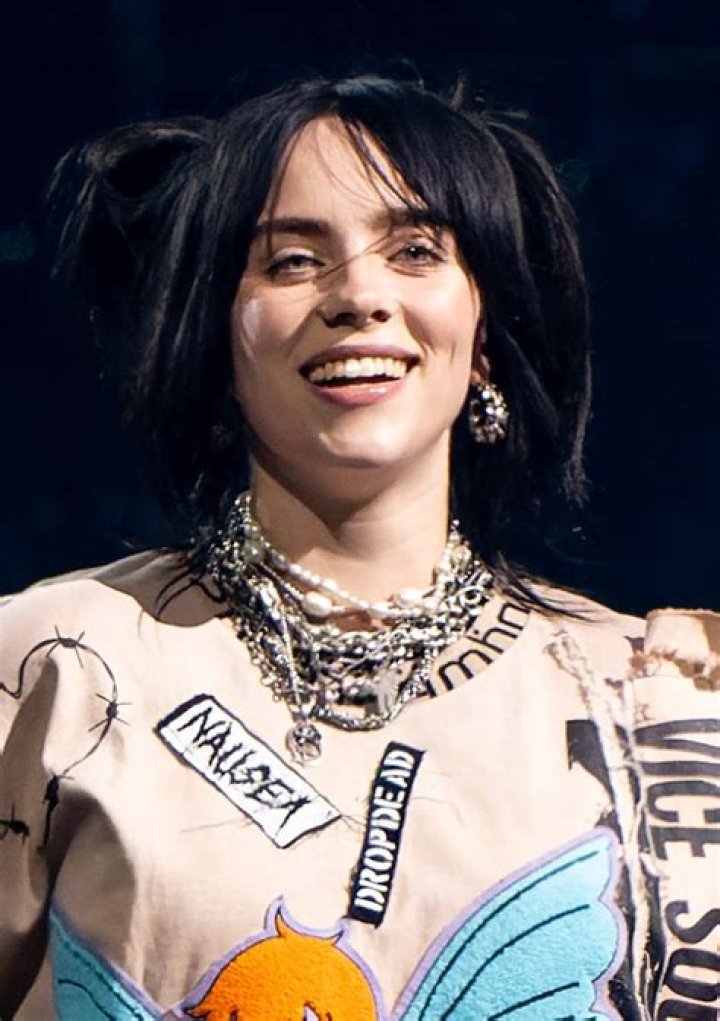 What Challenges & Controversies Billie Joe Armstrong Went Through