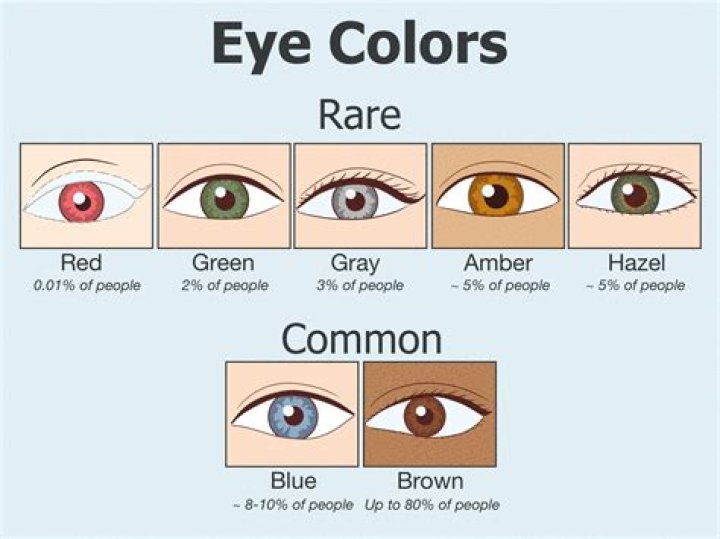 What Color Eyes Do Most Irish Have Exploring Irelands Eye Colors