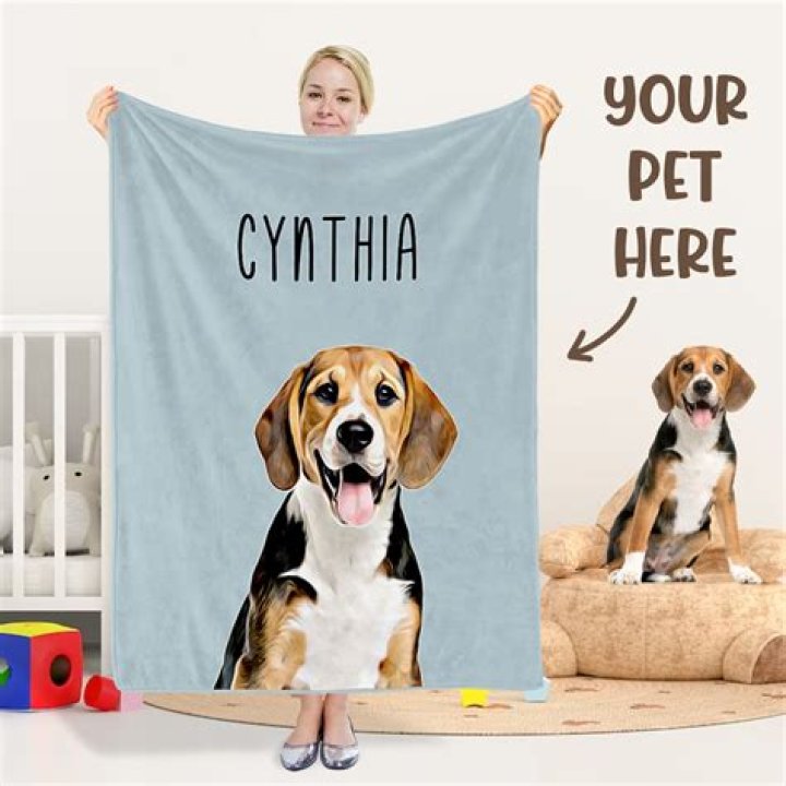 What Does Custom Pet Blanket Mean?
