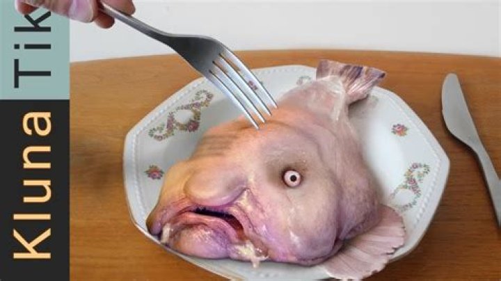 What Eats Blobfish? Can People Eat Them? AZ Animals