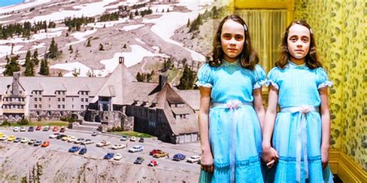 What happened to the twins in the witch