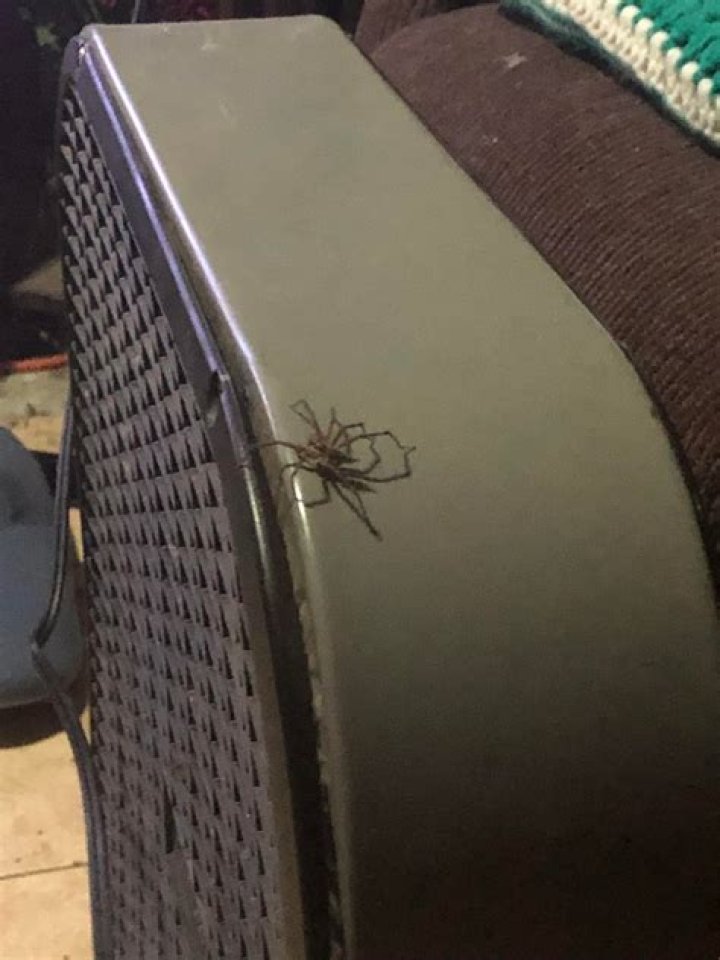 What is this and why did the Comcast tech install it?