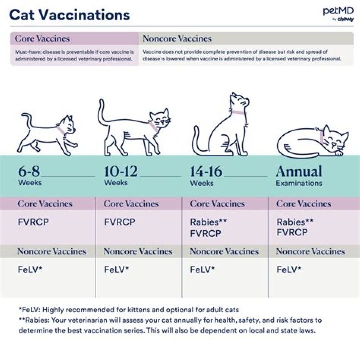 What kind of vaccinations do you require?