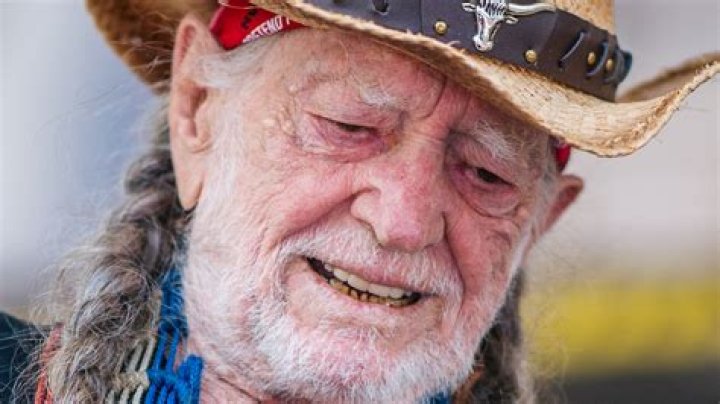 What Willie Nelson Did Before A Country Star