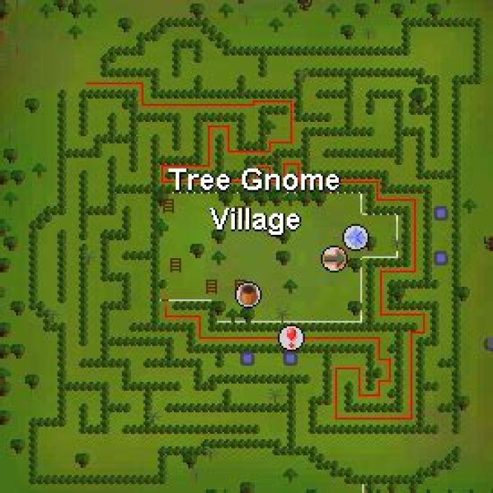 Where is the tree gnome village