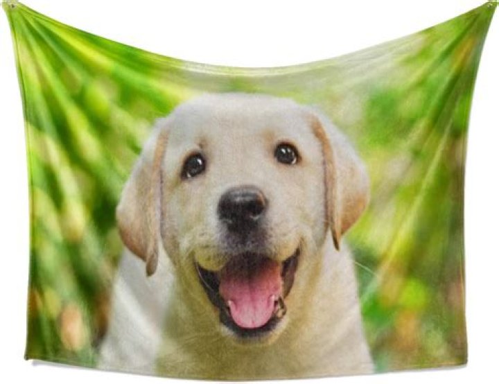 Who Carrys Holiday Pet Grave Blankets Near Clarkston Mi