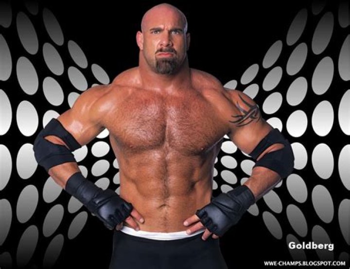 Who Is Bill Goldberg?