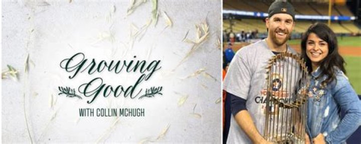 Who Is Collin McHugh's Wife?