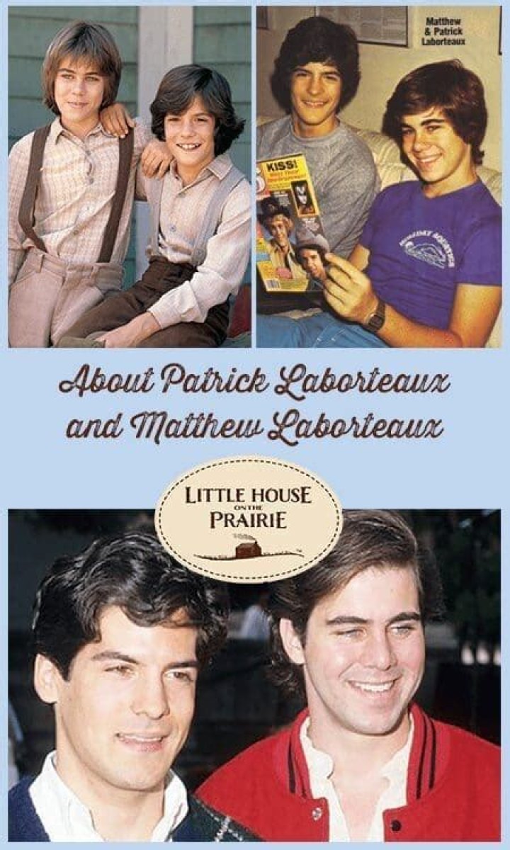 Who is Matthew Labyorteaux? Net Worth, Partner, Biography