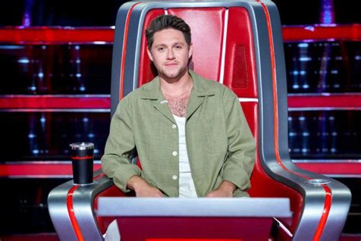 Who Is Niall Horan's Girlfriend? All About Amelia Woolley