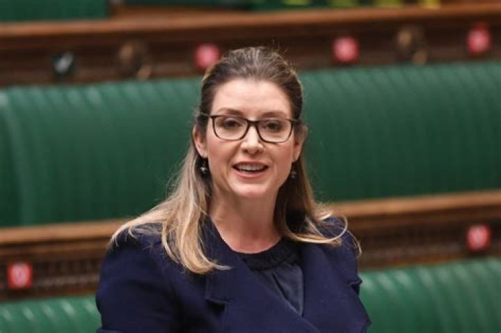 Who is Penny Mordaunt? What is her background on Brexit, trans rights