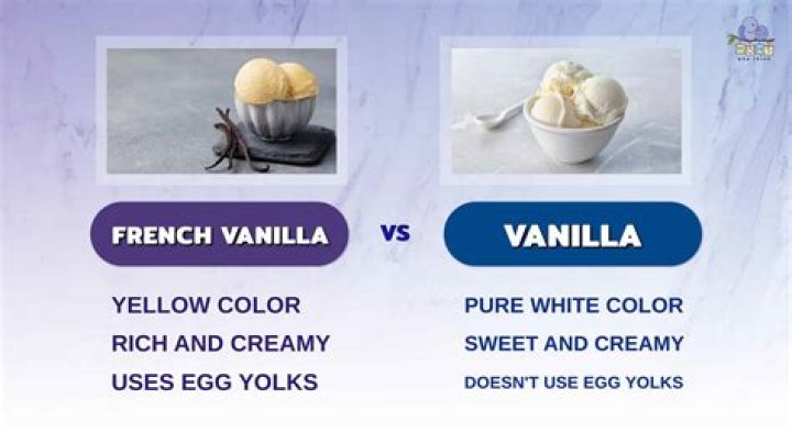 Who is Vanilla Ice? The Famous American Rapper, Actor, and TV Host