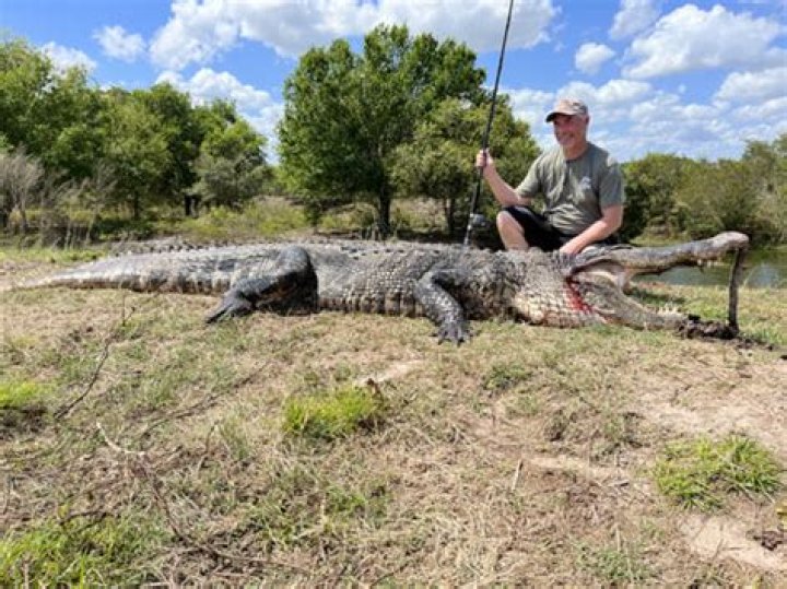 Who Won the 350 Alligator Tags on Swamp People 2023