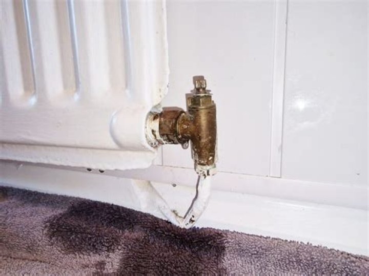 Will flex seal seal a radiator