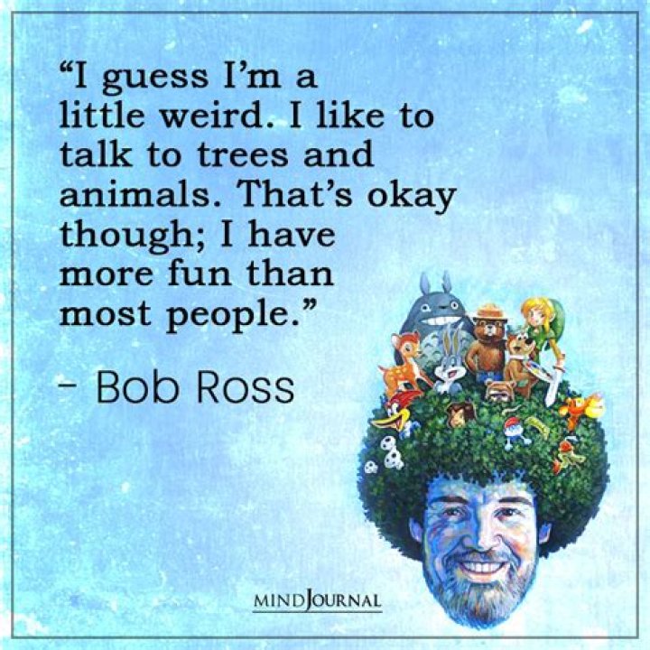 Wisdom From the Bob Ross Bible Catch a Falling Star