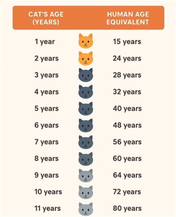 Years Active, Gscsix