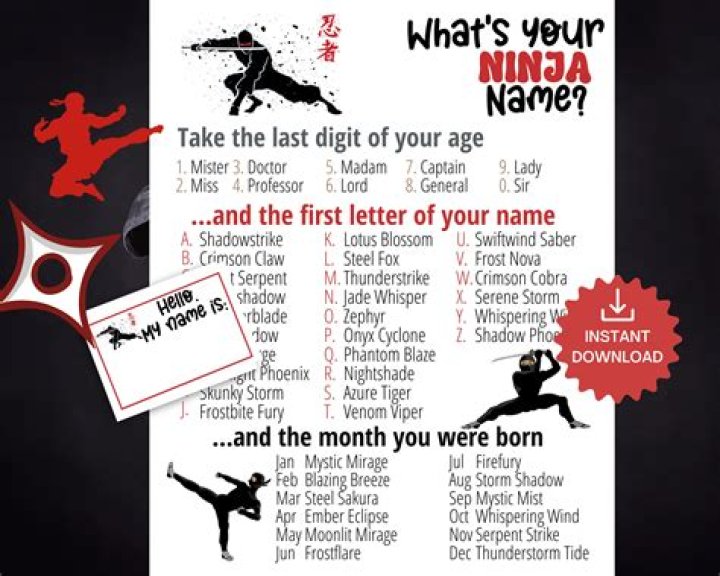 Your Ninja Name Common Sense Evaluation