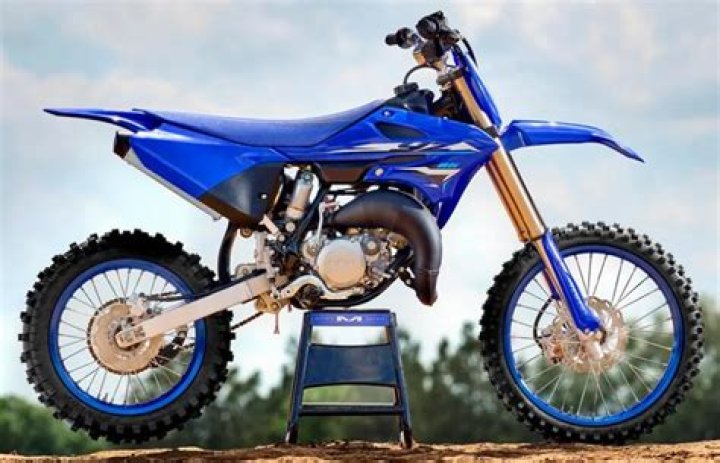 YZ Plane.tif