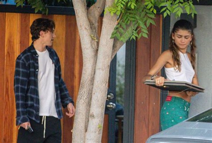 Zendaya, Tom Holland confirm they're dating with kiss pics