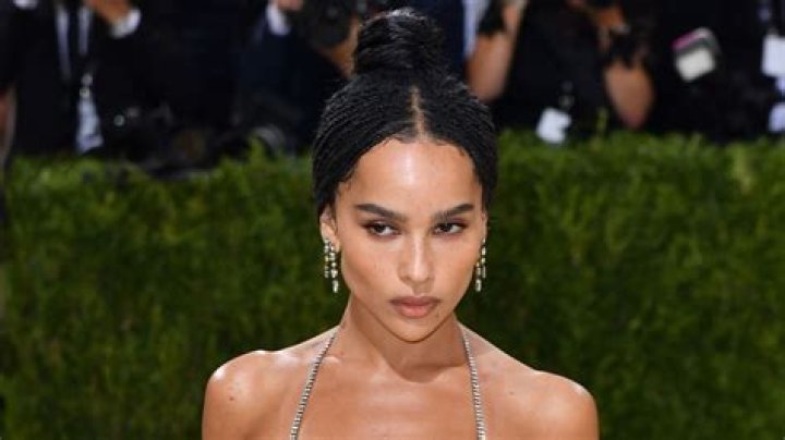 Zoe Kravitz hits back at trolls who mocked 'naked' dress